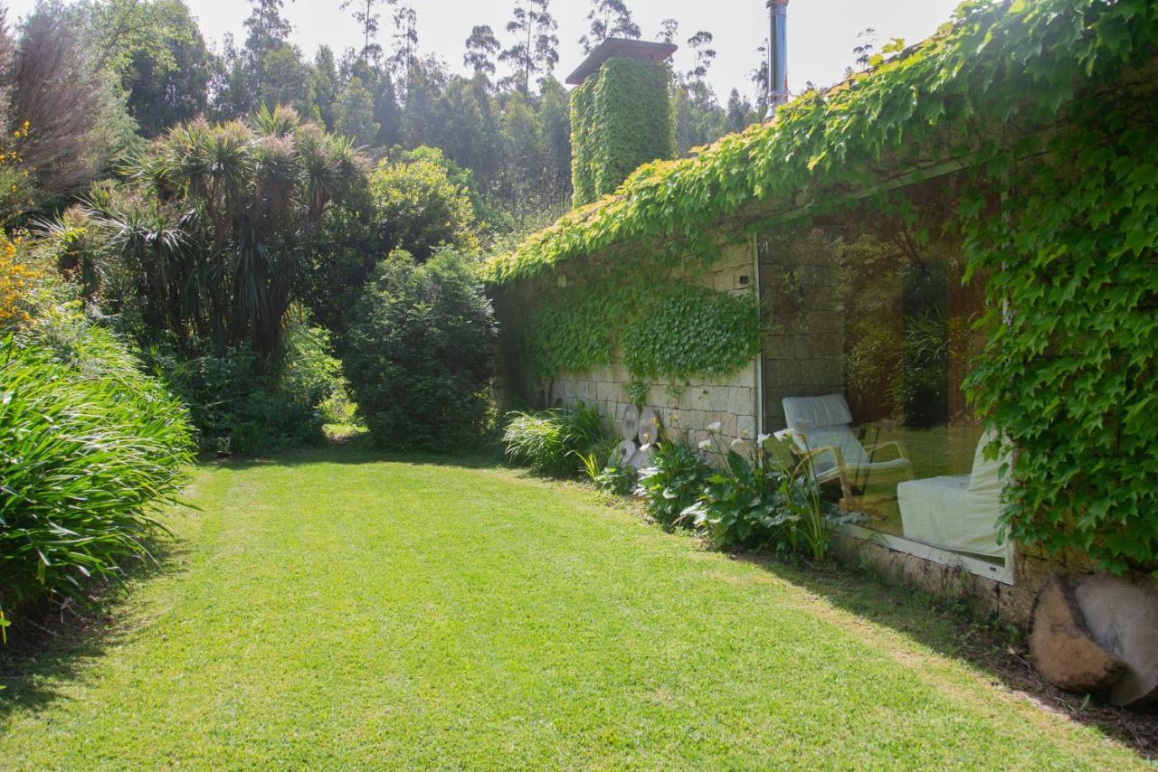The Nest ~ Your Best Rest Sever do Vouga Exterior foto