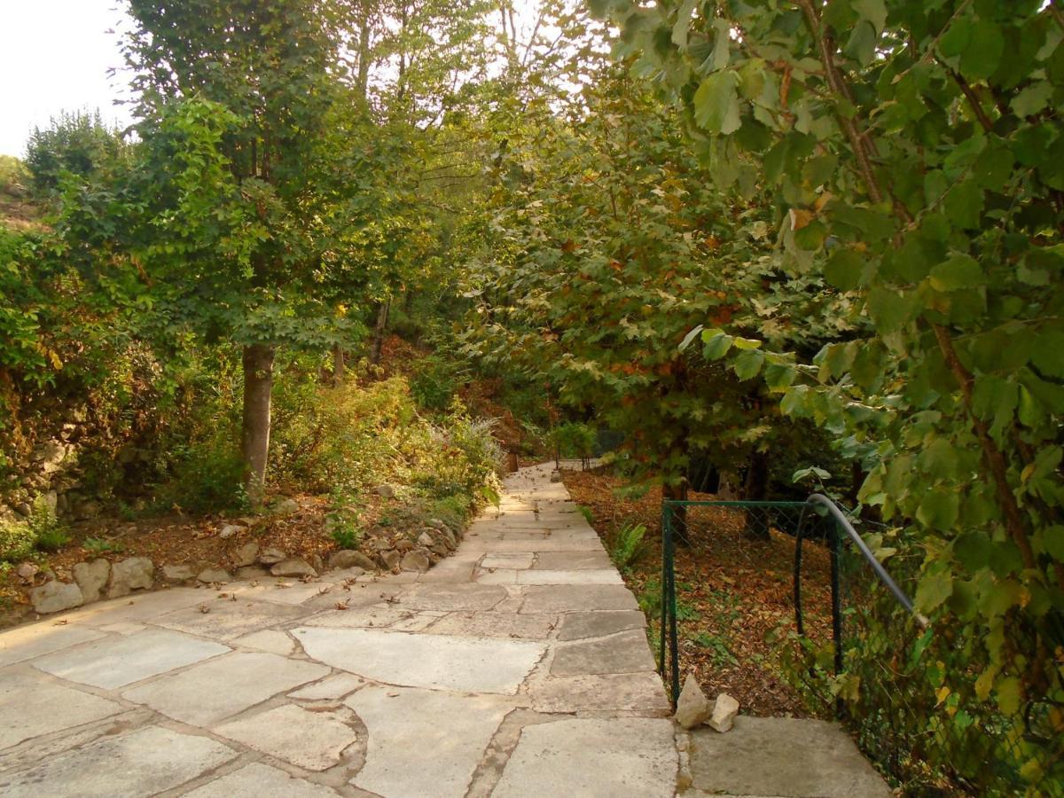 The Nest ~ Your Best Rest Sever do Vouga Exterior foto