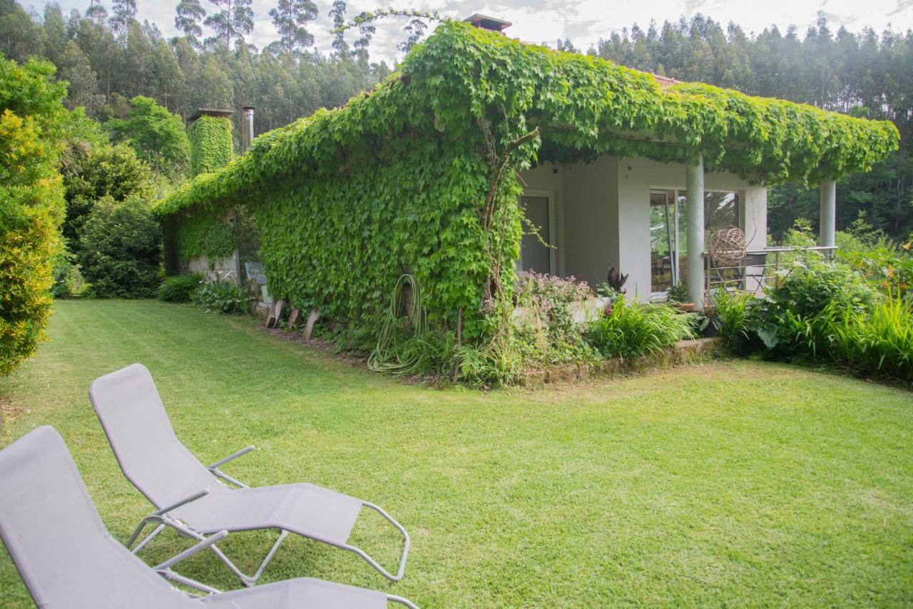 The Nest ~ Your Best Rest Sever do Vouga Exterior foto