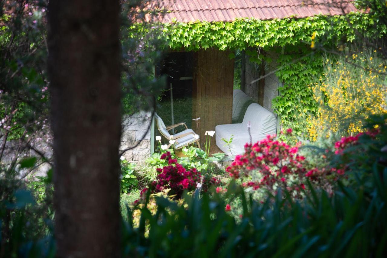 The Nest ~ Your Best Rest Sever do Vouga Exterior foto