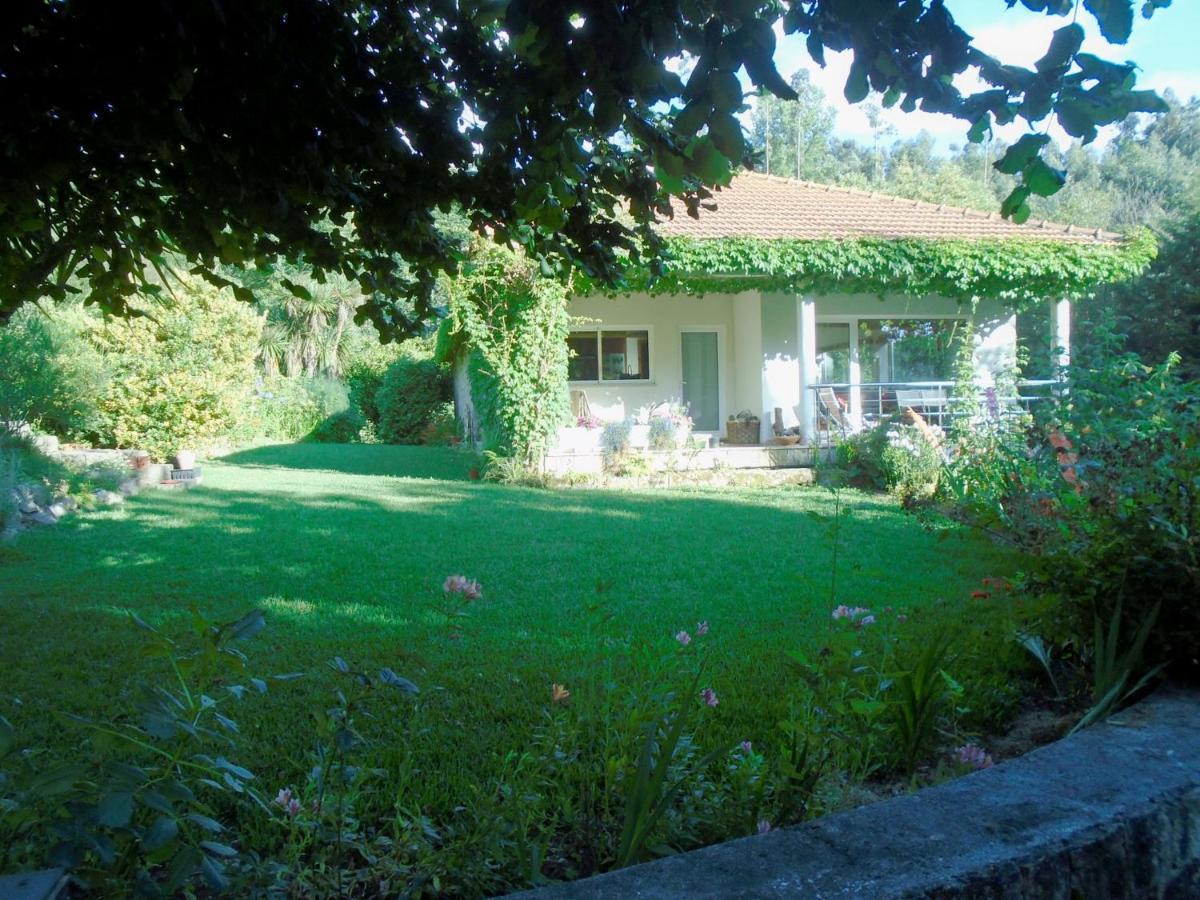 The Nest ~ Your Best Rest Sever do Vouga Exterior foto